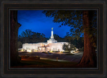 Load image into Gallery viewer, Baton Rouge and the Louisiana Blues
