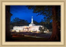 Load image into Gallery viewer, Baton Rouge and the Louisiana Blues
