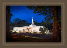 Load image into Gallery viewer, Baton Rouge and the Louisiana Blues

