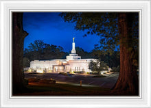 Load image into Gallery viewer, Baton Rouge and the Louisiana Blues
