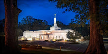 Load image into Gallery viewer, Baton Rouge and the Louisiana Blues
