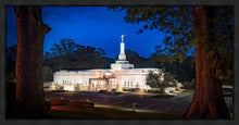 Load image into Gallery viewer, Baton Rouge and the Louisiana Blues
