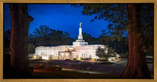 Load image into Gallery viewer, Baton Rouge and the Louisiana Blues
