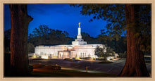 Load image into Gallery viewer, Baton Rouge and the Louisiana Blues
