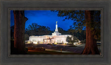 Load image into Gallery viewer, Baton Rouge and the Louisiana Blues
