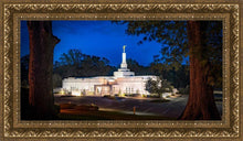 Load image into Gallery viewer, Baton Rouge and the Louisiana Blues
