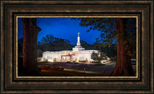 Load image into Gallery viewer, Baton Rouge and the Louisiana Blues
