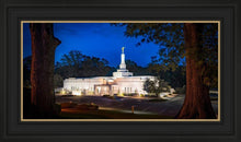 Load image into Gallery viewer, Baton Rouge and the Louisiana Blues
