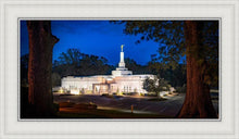 Load image into Gallery viewer, Baton Rouge and the Louisiana Blues
