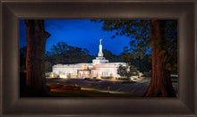 Load image into Gallery viewer, Baton Rouge and the Louisiana Blues
