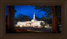 Load image into Gallery viewer, Baton Rouge and the Louisiana Blues
