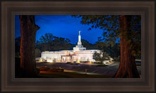 Load image into Gallery viewer, Baton Rouge and the Louisiana Blues
