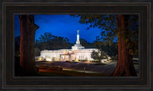 Load image into Gallery viewer, Baton Rouge and the Louisiana Blues
