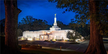 Load image into Gallery viewer, Baton Rouge and the Louisiana Blues
