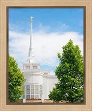 Load image into Gallery viewer, Billings Side
