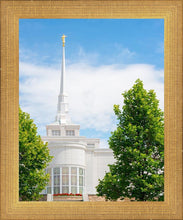Load image into Gallery viewer, Billings Side
