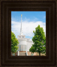 Load image into Gallery viewer, Billings Side
