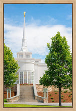 Load image into Gallery viewer, Billings Side
