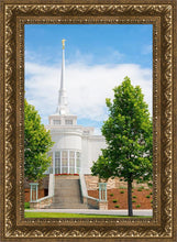 Load image into Gallery viewer, Billings Side
