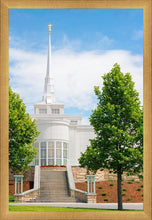 Load image into Gallery viewer, Billings Side
