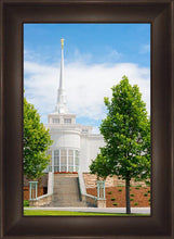 Load image into Gallery viewer, Billings Side
