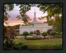 Load image into Gallery viewer, Birmingham Garden
