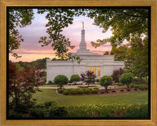 Load image into Gallery viewer, Birmingham Garden
