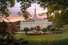 Load image into Gallery viewer, Birmingham Garden
