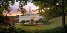 Load image into Gallery viewer, Birmingham Garden
