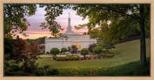 Load image into Gallery viewer, Birmingham Garden
