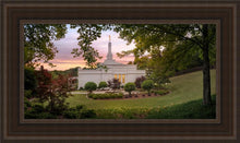Load image into Gallery viewer, Birmingham Garden

