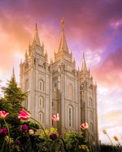Load image into Gallery viewer, Salt Lake Tulips
