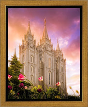 Load image into Gallery viewer, Salt Lake Tulips
