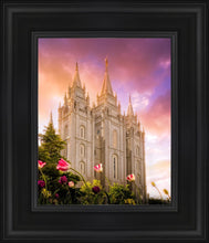 Load image into Gallery viewer, Salt Lake Tulips
