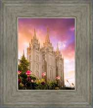 Load image into Gallery viewer, Salt Lake Tulips
