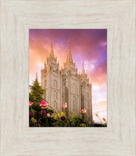 Load image into Gallery viewer, Salt Lake Tulips
