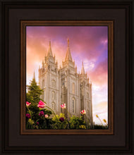 Load image into Gallery viewer, Salt Lake Tulips
