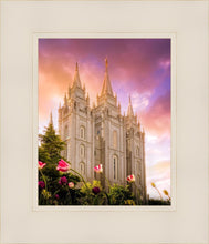 Load image into Gallery viewer, Salt Lake Tulips
