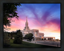 Load image into Gallery viewer, Bountiful Light
