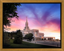 Load image into Gallery viewer, Bountiful Light
