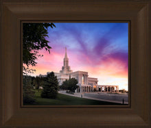 Load image into Gallery viewer, Bountiful Light
