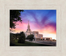 Load image into Gallery viewer, Bountiful Light
