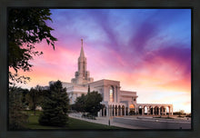 Load image into Gallery viewer, Bountiful Light
