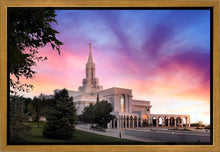 Load image into Gallery viewer, Bountiful Light
