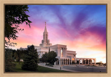 Load image into Gallery viewer, Bountiful Light
