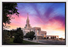 Load image into Gallery viewer, Bountiful Light
