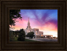 Load image into Gallery viewer, Bountiful Light
