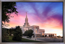 Load image into Gallery viewer, Bountiful Light
