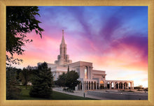 Load image into Gallery viewer, Bountiful Light
