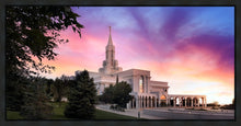 Load image into Gallery viewer, Bountiful Light
